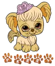 perry dog
