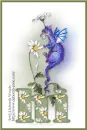 Daisy Dragon Hi