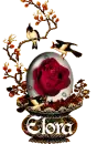birds roses