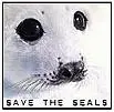 SAVE THE SEALS