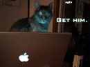 get him.