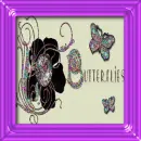 butterfly and flowers
