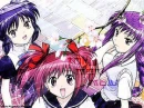 Minto , Zakuro And Ichigo