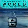 See the World