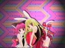 tokyo mew mew contestlayout