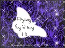 Flying By To Say Hi