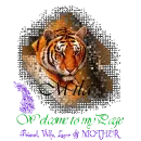 my home page