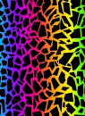 Rainbow and Black