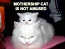 motherhood