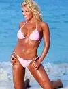 wwe diva torrie wilson