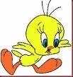 tweety bird