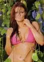 wwe diva lita