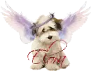dog angel