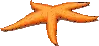 starfish