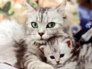 motherhood