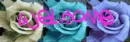 welcome rose