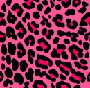 pinker cheetah