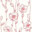 pink white flower
