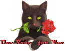 one rose for you