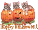 Happy Halloween!
