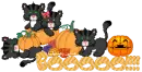 Boooo!!!!