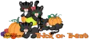 trick or treat