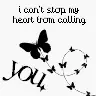 Jonas Brothers Lyrics
