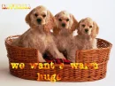hugs