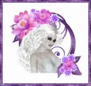 Lady
