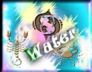 zodiacs