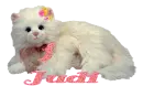 A kitty for Judi