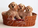 Puppies - Hugs, Evelyn