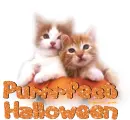 purrfect Halloween