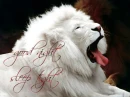 good night