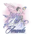 AMANDA Fairy n Dragon NT 