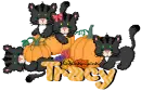 Tracy