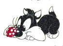 Gato