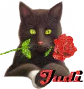 Judi