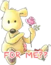 lovely bear