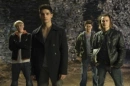Steven Strait