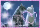 true love