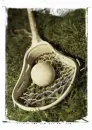 Lacrosse