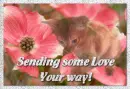 Sending some love your way