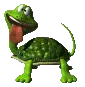 Pet Turte
