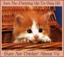 Kitty