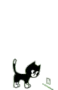 kitty