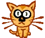 kitty