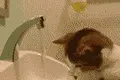 cute
