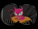 kitty