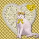 kitty